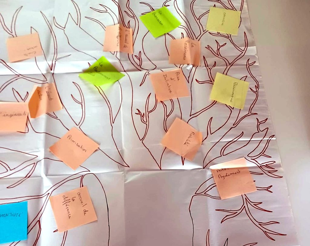 L'Arbre aux Talents : les forces professionnelles nommées par les auxiliaires de vie lors d'une analyse de pratiques avec la PCP